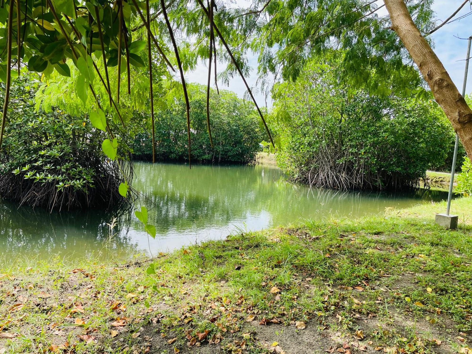 King'S Island Resort Negombo Ngoại thất bức ảnh