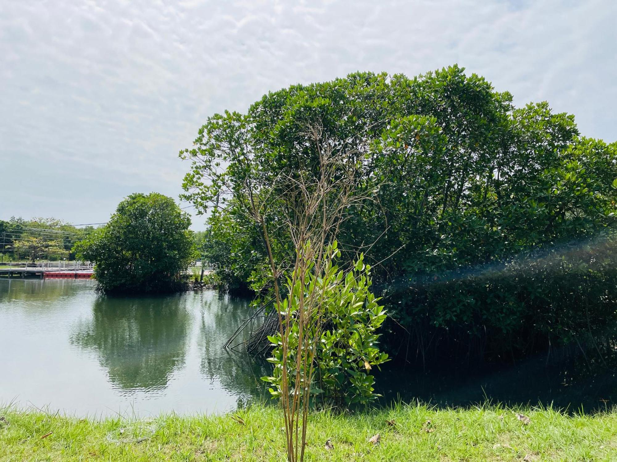 King'S Island Resort Negombo Ngoại thất bức ảnh